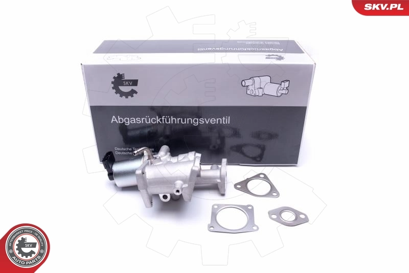 EGR Valve